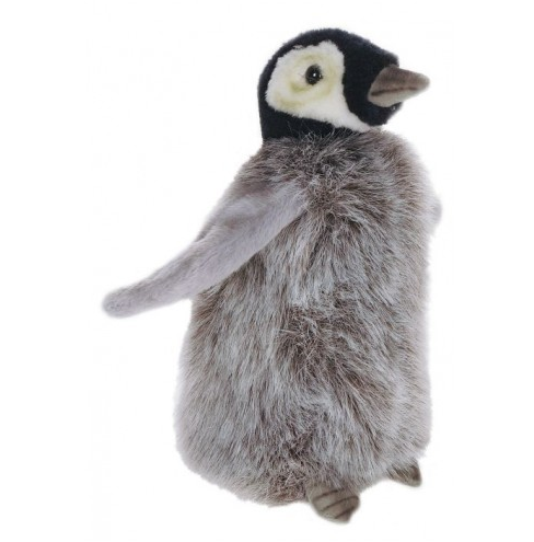 Bébé empereur pingouin