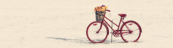 Ernest Cadegan Photographie "Red Bike"