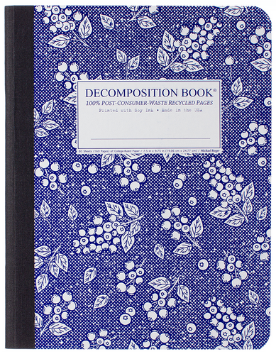 Decomposition Notebook - "Blueberry"