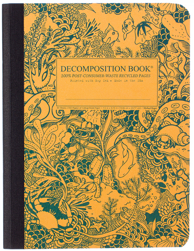 Decomposition Notebook - "Under the Sea"