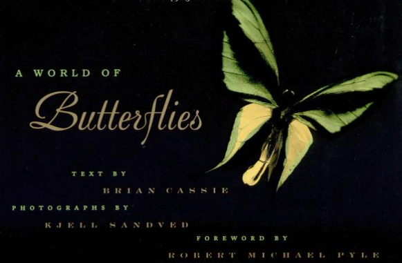 A WORLD OF BUTTERFLIES by Brian Cassie