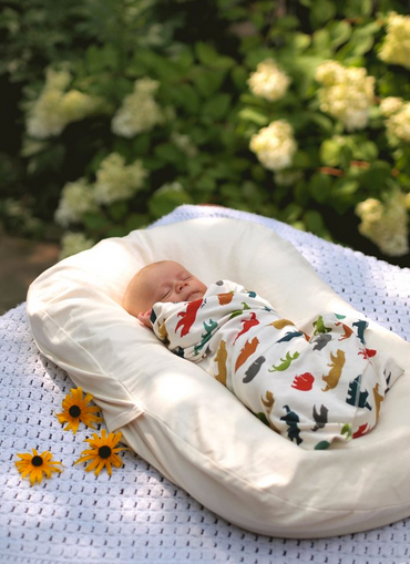 Large Organic Cotton Baby Blanket