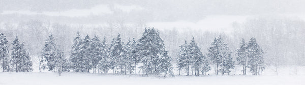 Ernest Cadegan Photography "Snowscapes 156"